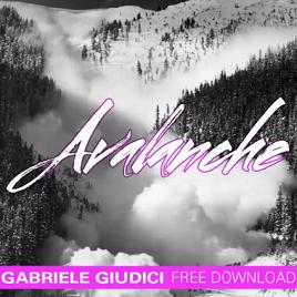 Gabriele Giudici - avalanche