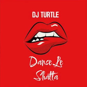 Dj Turtle - danse le shatta