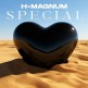 H Magnum - spécial1